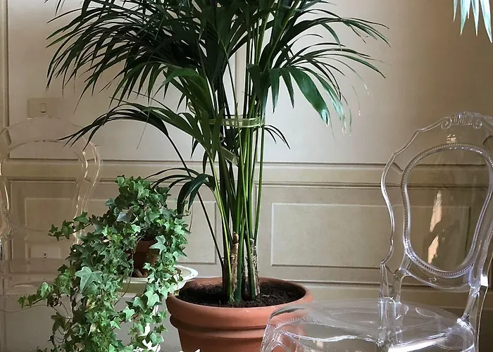 Frühstückspension Le Di San Vitale