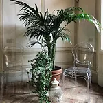 Le Di San Vitale 4*