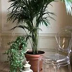 Bed and Breakfast Le Di San Vitale