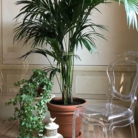 Bed and Breakfast Le Di San Vitale